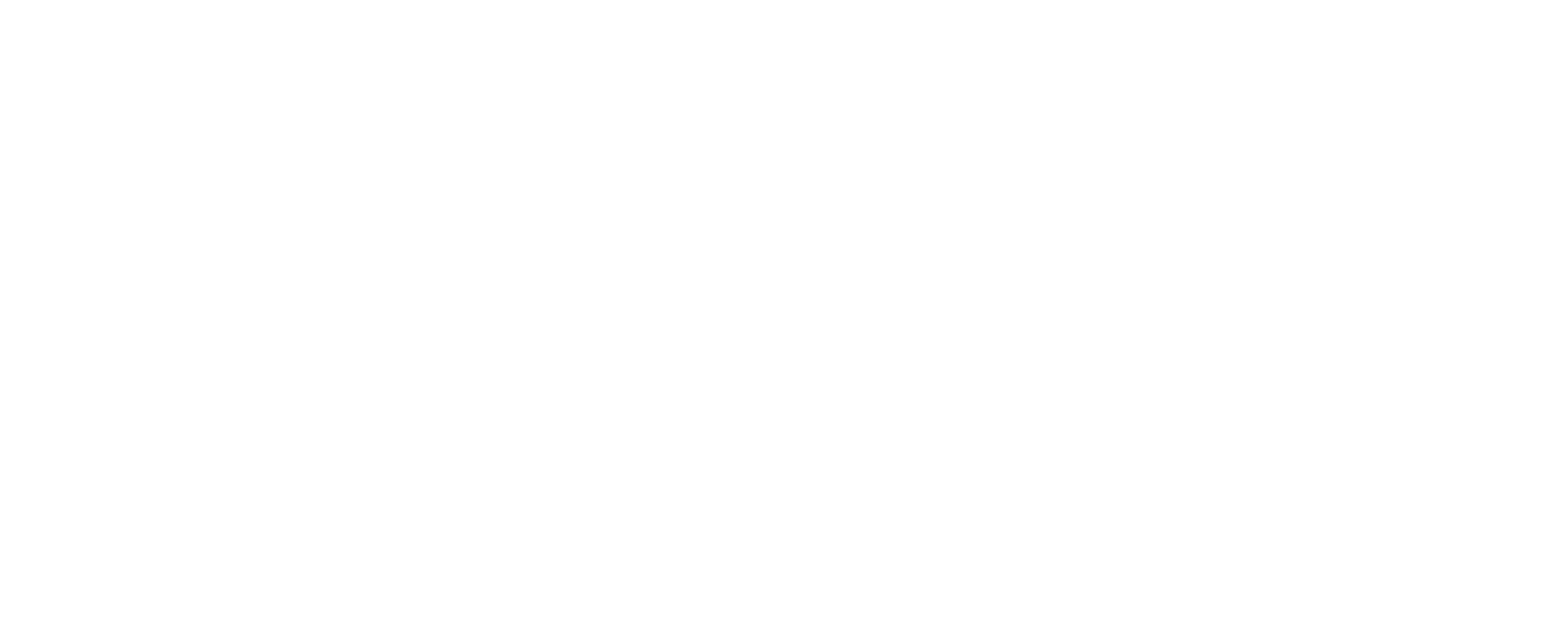 Indyside Best WordPress Development Company