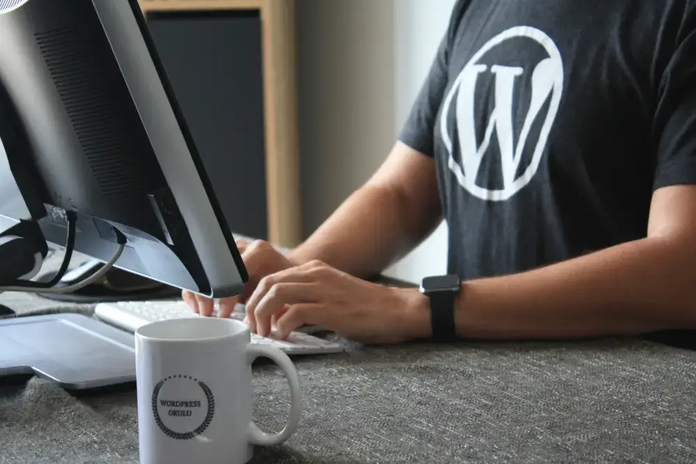 Hire A WordPress Developer