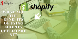 Read more about the article What Are the Benefits of Using Shopify Development?