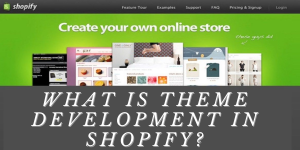 Read more about the article What Is Theme Development in Shopify?